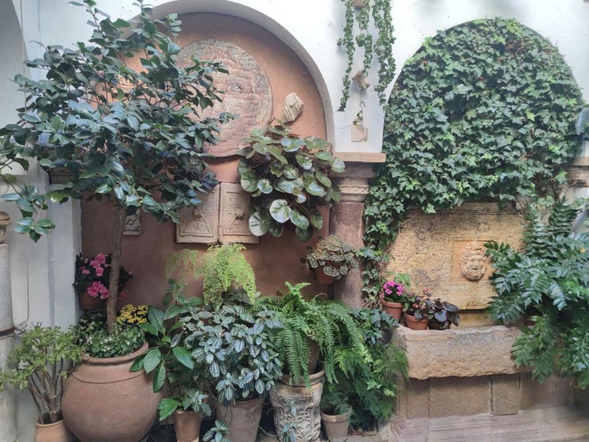 Apartment El Capricho De San Fernando, Consigna Gratis Y Parking A 200mts