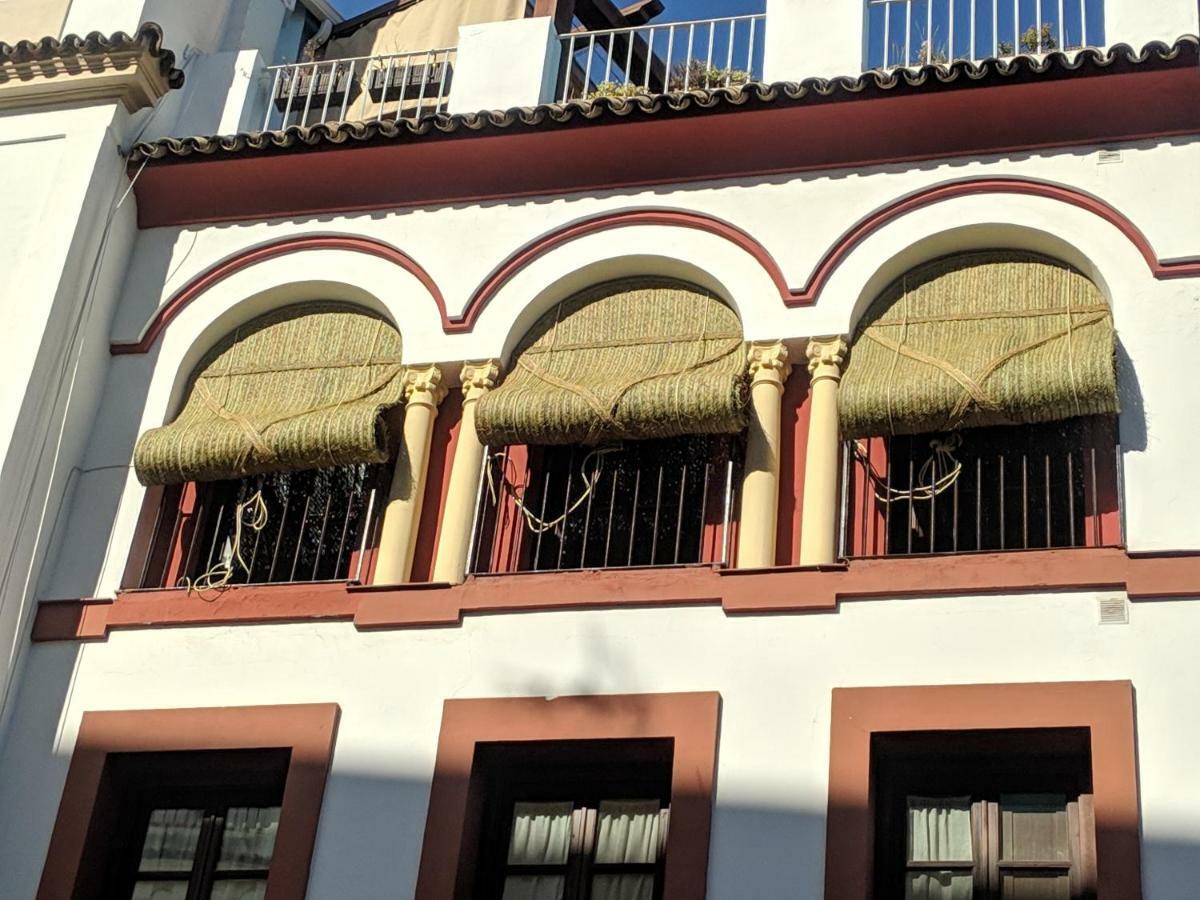 El Capricho De San Fernando, Consigna Gratis Y Parking A 200mts Apartment