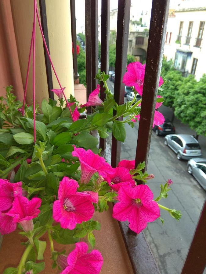 El Capricho De San Fernando, Consigna Gratis Y Parking A 200mts Apartment *